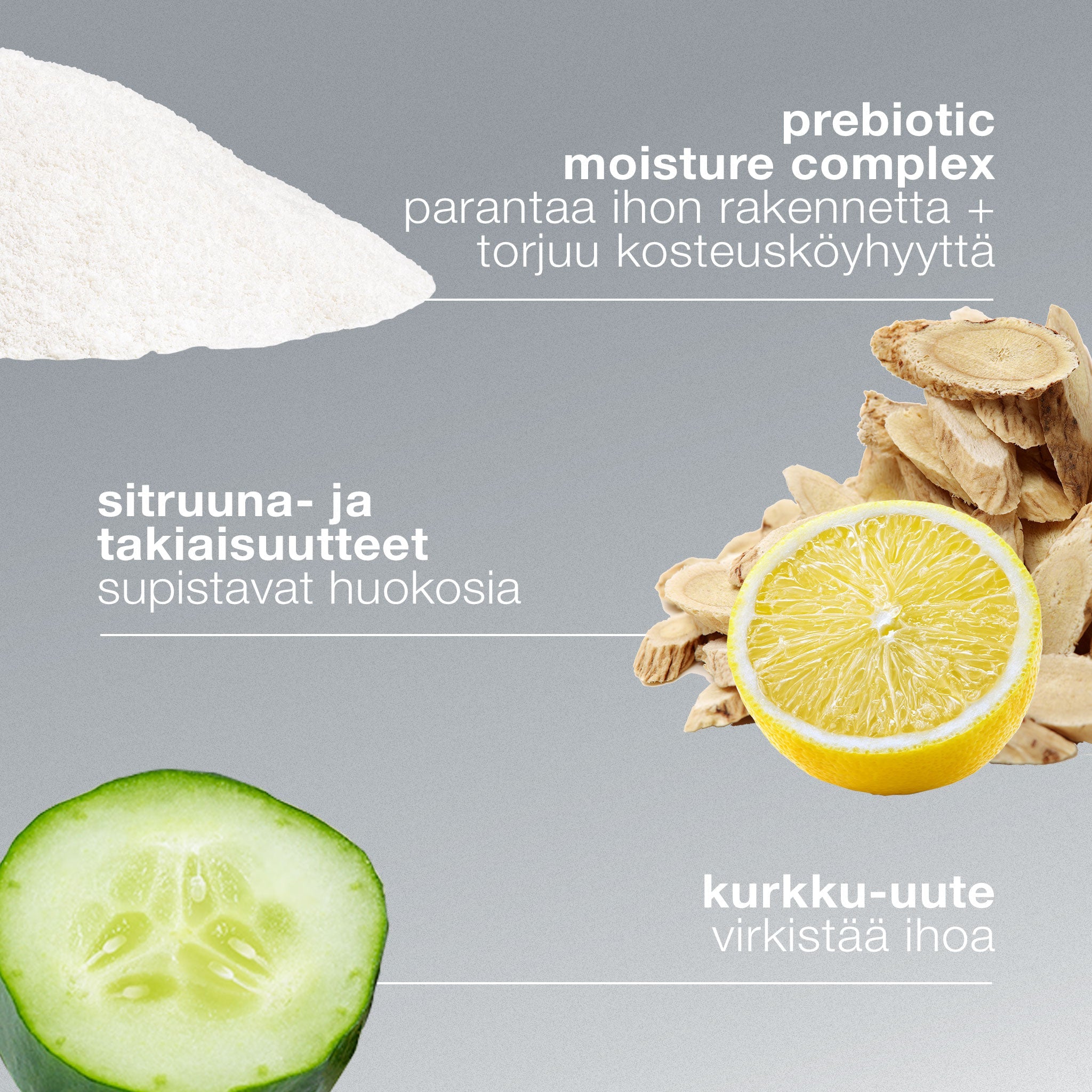 Active Moist - kosteusvoide - Dermalogica Suomi
