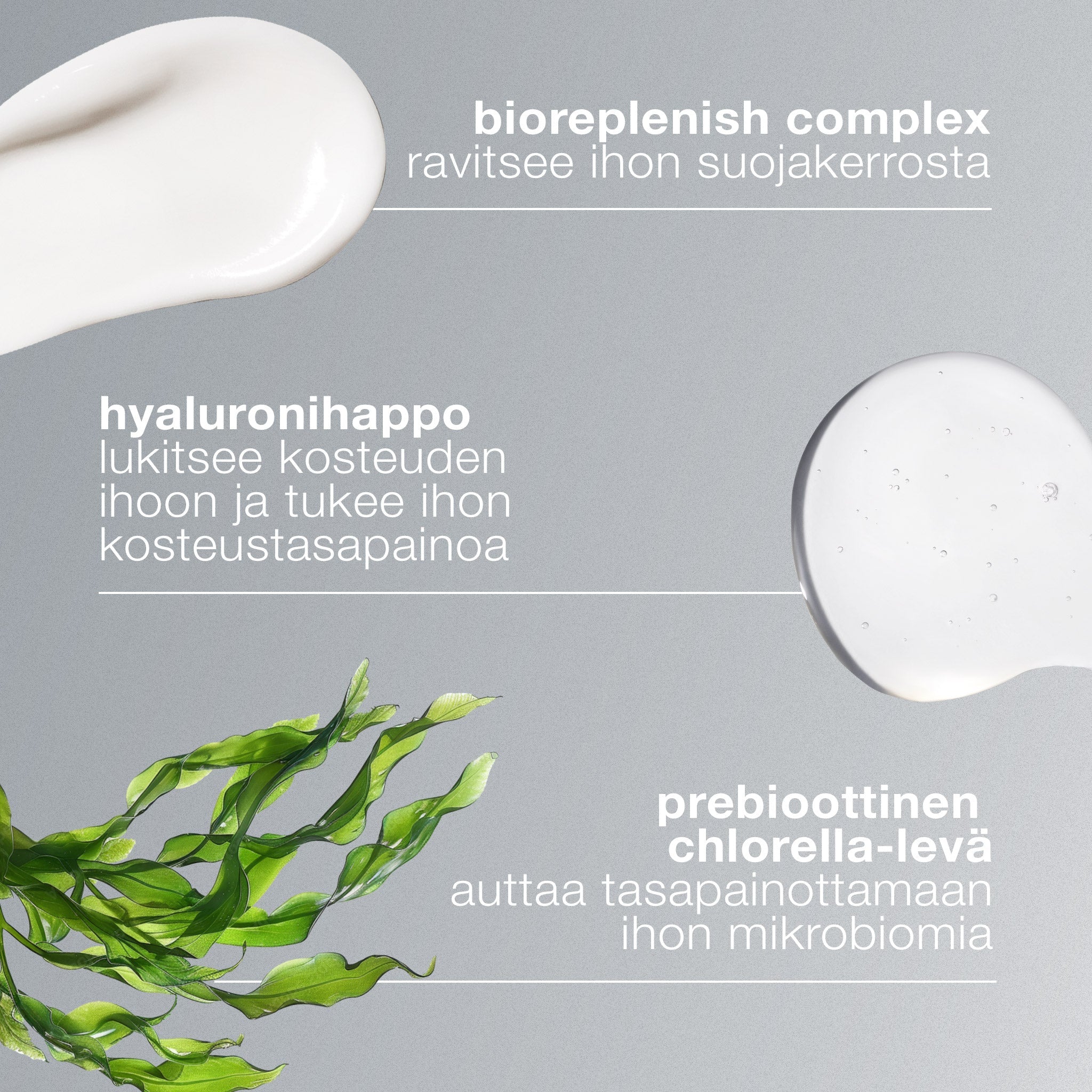 Intensive Moisture Balance - kosteusvoide - Dermalogica Suomi